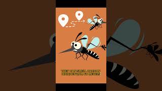 Do mosquitoes choose blood type shorts healthylifestyle mosquitoes [upl. by Sean]