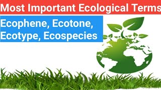 Most Important Ecological TermsEcopheneEcadsEcotypeEcotone Ecospecies in 1 video [upl. by Pinebrook]