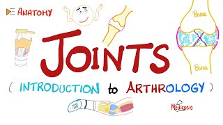 Joints  Anatomy amp Physiology [upl. by Koal]