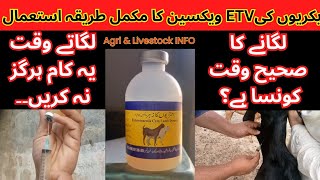 Etv vaccine etvaccineviralvideos shortvideos shorts farming animalfarming goatsfaming [upl. by Aneg]