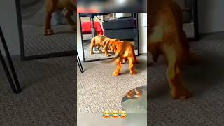 Dogs Doing Their Goofy Dog Things 😂😂😂 part 4 funny dog dogfail [upl. by Cordie]