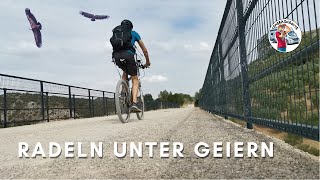 7 ▶️ Radeln 🚴🏻 unter Geiern  die Vía Verde de la Sierra Wohnmobil Reisen in Spanien [upl. by Nahtnahoj971]