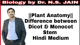 Difference between Dicot amp Monocot Stem Plant Anatomy  Hindi Medium [upl. by Frodi]