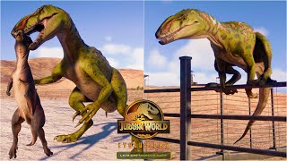 AUSTRALOVENATOR HUNTING Animation vs All Small Dinosaurs  Fence Climbing Animation  JWE 2 [upl. by Faxun]