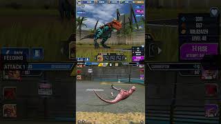 CERATOSAURUS ALL EVOLUTION amp CERATOSAURUS ALL ANIMATION  Jurassic World The Game [upl. by Mateusz]