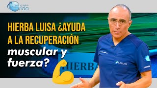 🌿 Hierba Luisa ¿Ayuda a la recuperación muscular y fuerza 💪🏻 [upl. by Wernsman]