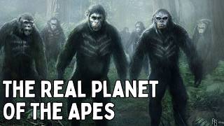 The Shocking Truth About Earths Forgotten Ape Empire [upl. by Nathalia]