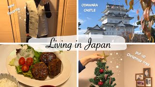 buy snacks at Daiso grocery shopping Odawara Castle put up Christmas tree🎄 Japan Vlog [upl. by Marks]