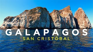 GALAPAGOS SAN CRISTOBAL Travel Guide to Beaches Sea Lions amp Kicker Rock [upl. by Armillia]