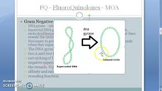 Pharmacology 707 b FluoroQuinolones Mechanism Of Action Quinolones DNA Gyrase inhibitor supercoil [upl. by Dnomyad]