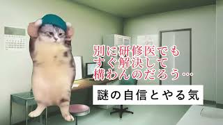 初期研修医あるある 内科外来編 猫ミーム 猫マニ 研修医 医者あるある [upl. by Fillian52]