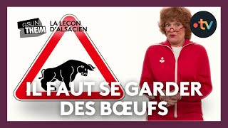 La leçon dalsacien  quotil faut se garder des bœufsquot [upl. by Licko]