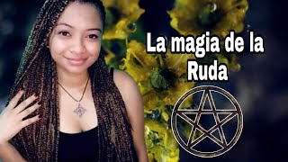 Correspondencias de la RUDA  la magia de las plantas [upl. by Nrublim]