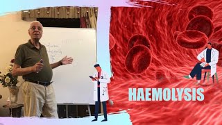 HAEMOLYSIS  DR HOSSAM MOWAFY PART 1 [upl. by Shewmaker973]