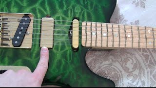 Warmoth Custom Telecaster Review [upl. by Kina202]