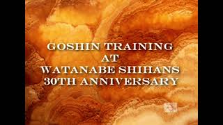 Goshin Kan Short Demonstration at Goju Kyu Anniversary [upl. by Lindo77]