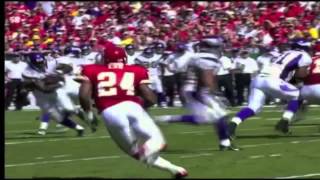 Adrian Peterson Highlights Top Plays Best Runs [upl. by Keverian]