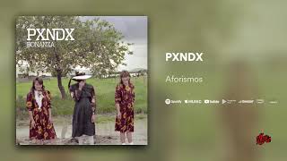 PXNDX  Aforismos [upl. by Jo Ann]