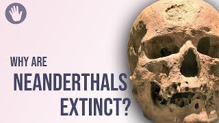 Why Are Neanderthals Extinct [upl. by Aiek489]