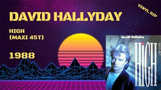 David Hallyday  High 1988 Maxi 45T [upl. by Noyar]