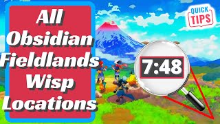 All Obsidian Fieldlands Wisp Locations  Pokemon Legends Arceus [upl. by Barnard434]