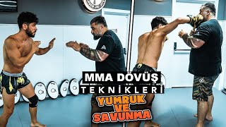 MMA Dövüş Teknikleri  Karma Dövüş Sanatları [upl. by Akahs506]