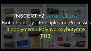 43Botany  Biotechnology  Principle and Processes  Biopolymers PolyhydroxyButyrate PHB [upl. by Colline]