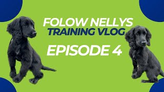 Nelly The Working Cocker Training Vlog Ep 4  The Dog Therapist [upl. by Hubsher]