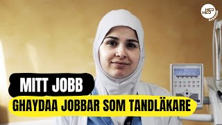 Jobba som tandläkare  quotJag gillar att jobba med människorquot  Från SFI till arbete [upl. by Gonzalez365]