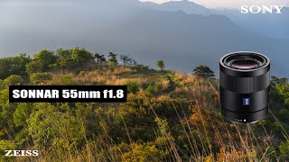 Sony Sonnar T FE 55mm f18 Review  Hey you JUST BUY THIS [upl. by Anyale]