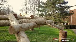 Outdoor construction of a reciprocal timber structure UCLouvain Belgium [upl. by Rempe496]