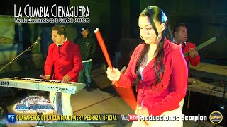 Nery Pedraza y los Guaraperos de la Cumbia 💥 La Cumbia Cienaguera [upl. by Sivat]