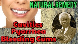 Healing Bleeding Gums Pyorrhea Cavities Naturally  Natural Herbal Remedies [upl. by Akerehs531]