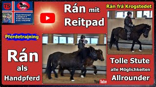 Rán Handpferd Reitpad Isländer Islandpferd Pferdetraining Tipps aus Unterricht Tanja Schienagel [upl. by Gnni]