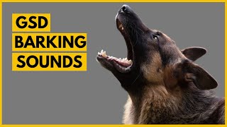 German Shepherd Barking Sounds Compilation See How Your GSD REACTS [upl. by Drusilla]