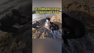 Para Pria Ini Menghubungkan Sungai Dan Laut [upl. by Merle]