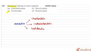 Herdmania belongs to which subphyia [upl. by Michael967]