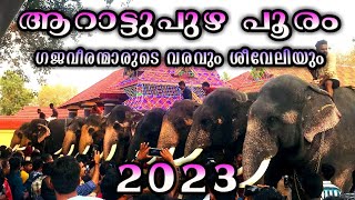 Arattupuzha pooram 2023  Arattupuzha pooram sheeveli  ആറാട്ടുപുഴ പൂരം ശീവേലി  Kerala Elephants [upl. by Blight134]