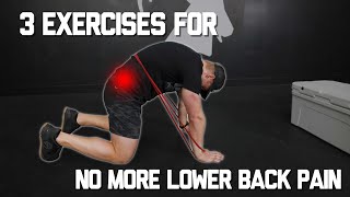 Do These 3 Lower Back Exercises Every Day NO MORE PAIN [upl. by Ever]