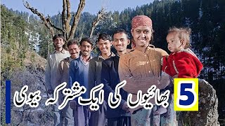 Historical Facts About India In Hindi Urdu  Multiple Husbands Documentary  Polyandry [upl. by Biddy]