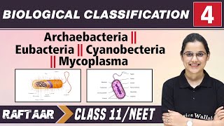 CBSE Class 11 Biology  Morphology of Flowering Plants  Full Chapter  By Shiksha House [upl. by Ahsilad]