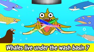 Whales live under the wash basin 7 kids animals animation whales adventureㅣCoCosToy [upl. by Iat556]