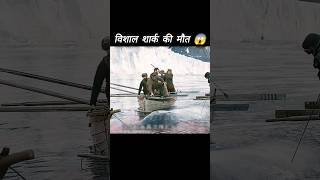 विशाल शार्क की मौत 😱 l Hollywood movie hindi dubbed l shorts hindidubbed shark [upl. by Martreb]