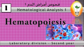 Hematology 1 Hematopoiesis عملية تصنيع الدم [upl. by Arteid116]