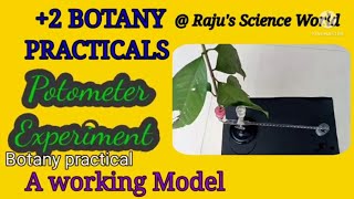 Plus Two Botany  PracticalsPhysiology ExperimentsGanongs Potometer Experiment A working Model [upl. by Iur702]