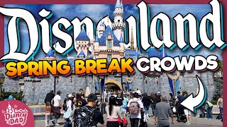 How CROWDED is Spring Break at Disneyland  March 2024 Wait Times [upl. by Alywt570]