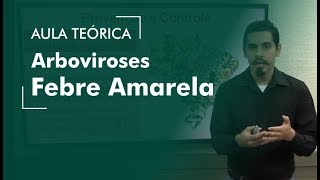 Febre Amarela Arboviroses  AULA TEÓRICA  Concursos Veterinários [upl. by Bates129]