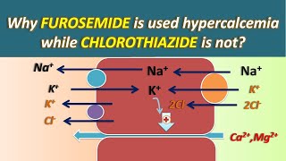 Why Furosemide is used in hypercalcemia while Chlorothiazide is not [upl. by Darya]