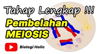 Pembelahan Meiosis Animasi [upl. by Rotow]