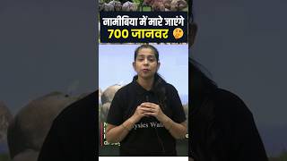 नामीबिया में क्यों मारे जाएंगे 700 जानवर 🤔 Shorts Namibia PW [upl. by Nnylkoorb446]